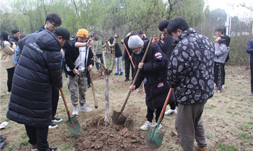 img_0775_副本.jpg img_0775_副本.jpg