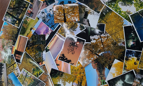 QQ图片20211216104207_副本.jpg QQ图片20211216104207_副本.jpg