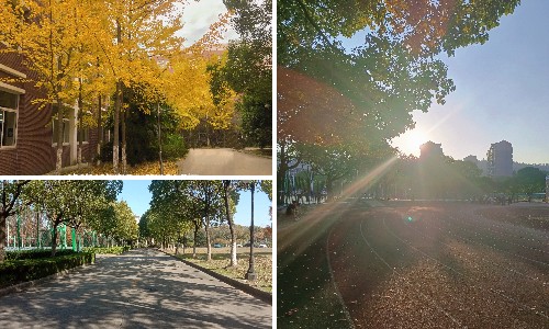 稿定设计导出-2.jpg 稿定设计导出-2.jpg