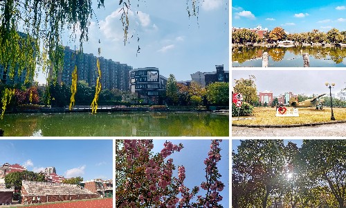 稿定设计导出2.jpg 稿定设计导出2.jpg