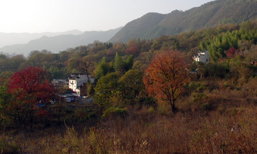 未标题-1 拷贝.jpg